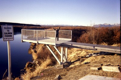 Gulkana River Salmon Viewing Platform