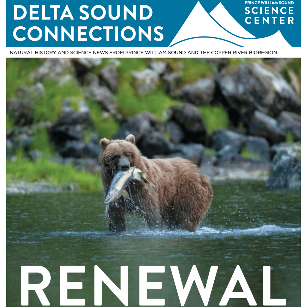 delta-sound-connections_renewal
