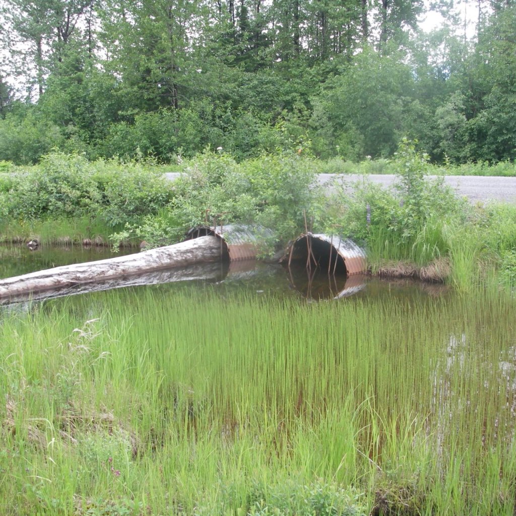 cop3_inlet_before