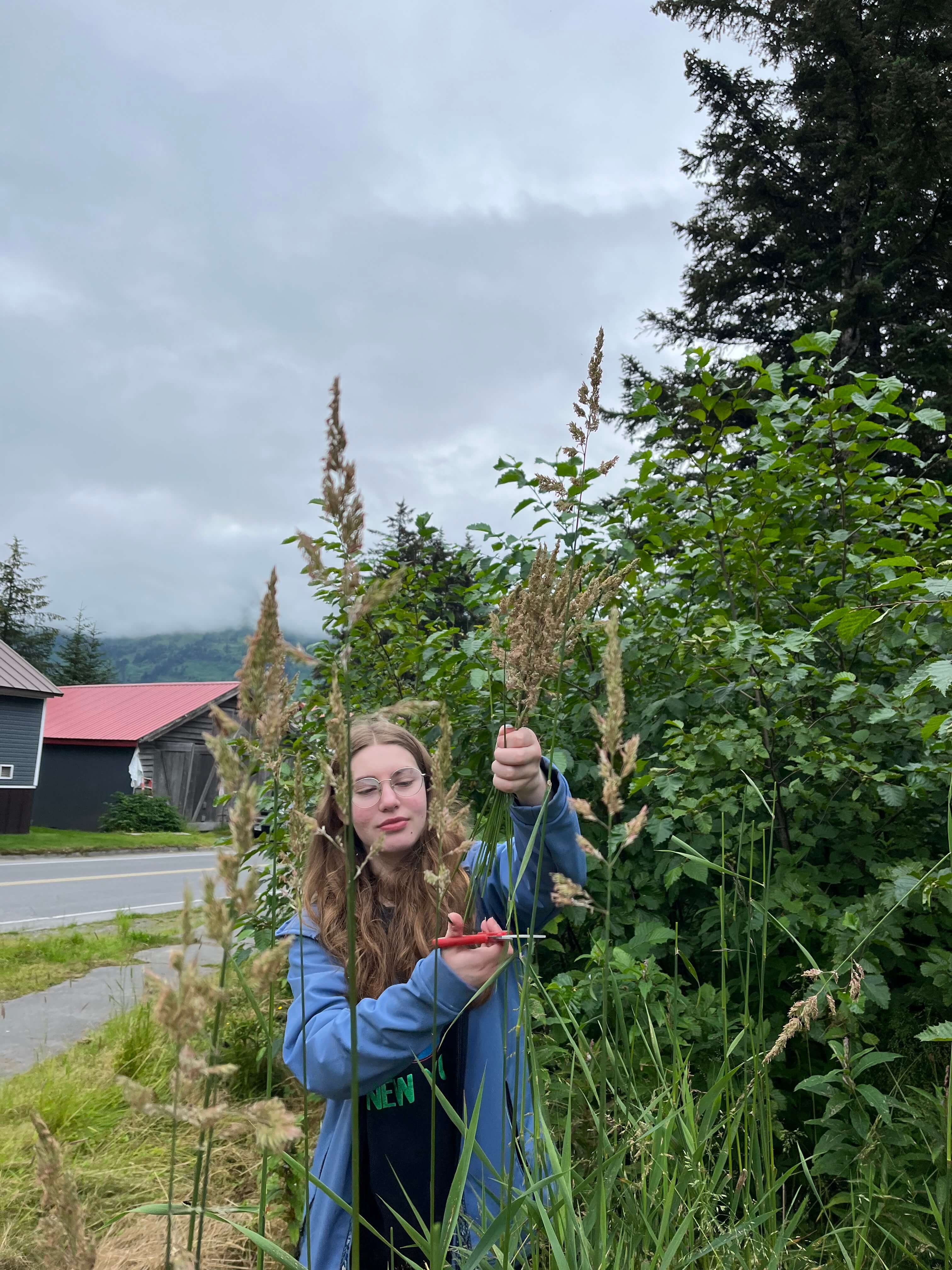 invasiveplantmanagement_2023