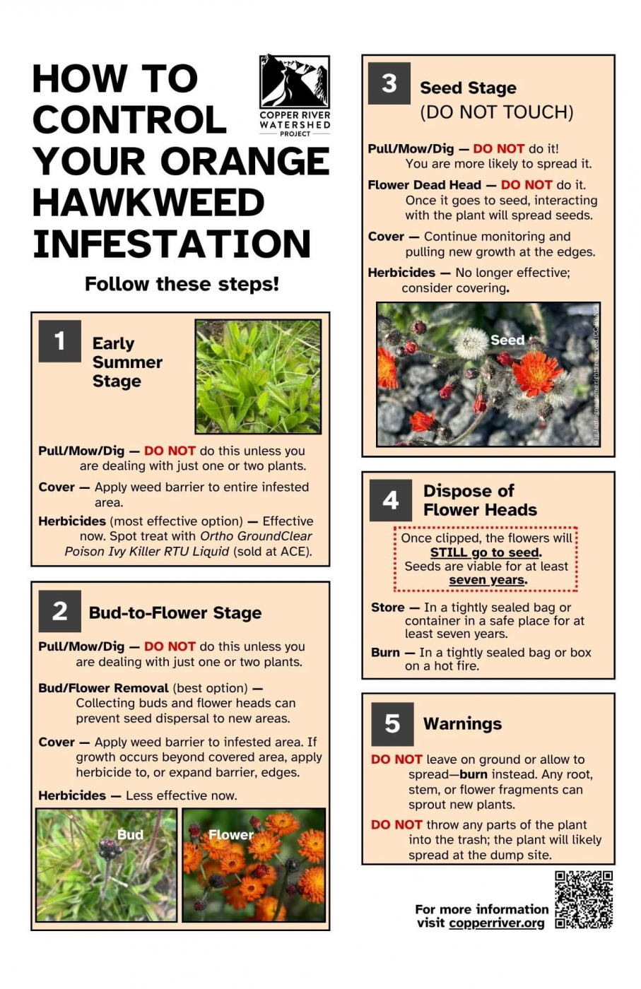 follow-these-steps-orange-hawkweed-control